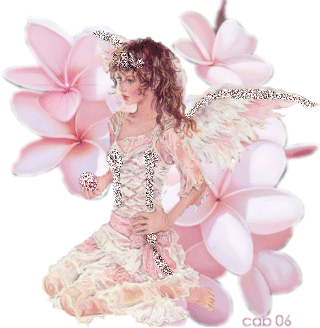 angel004.gif
